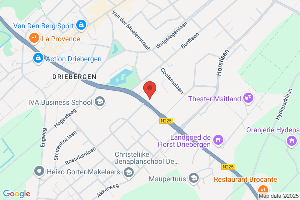 Balansgroep Coachopleidingen