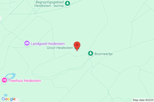 Heidestein Groep