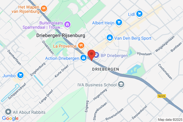 Tandartsen Bijlsma En Bouwman