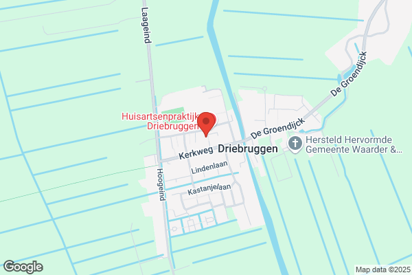 Boerefijn, W