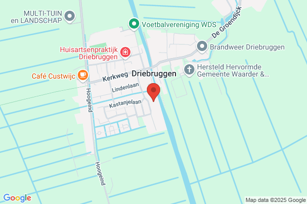 Steen Bv, Van Der