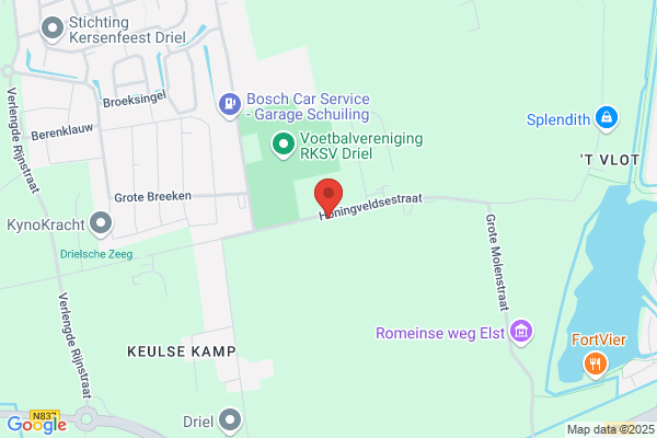 NagelPunt