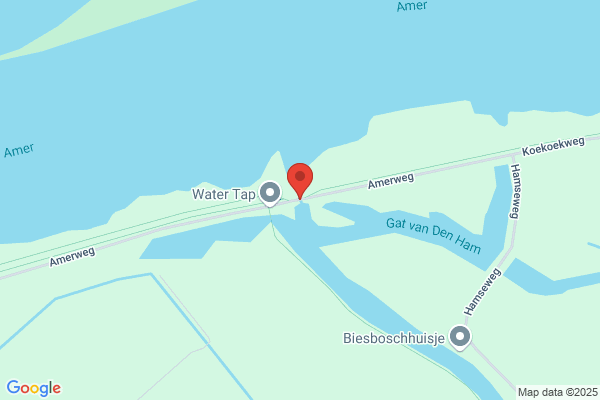 Essent Nv