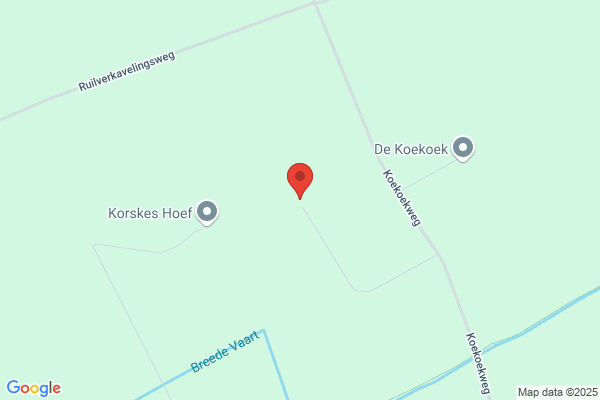 Polderlicht