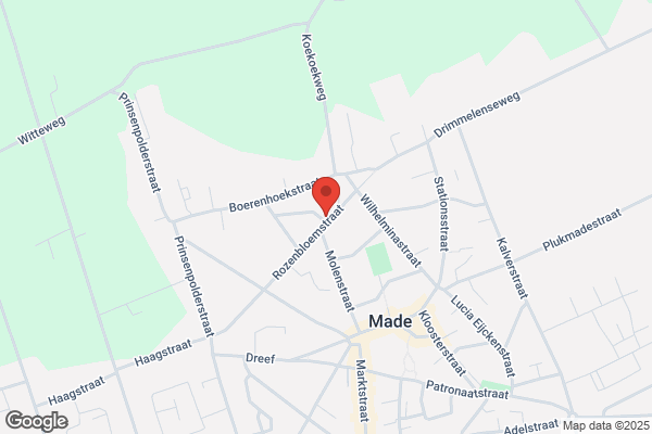 Rooijen Opleidingen & Consultancy