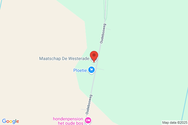 Ferwerda
