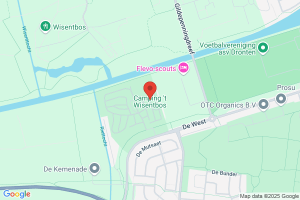 Wisentbos, 't