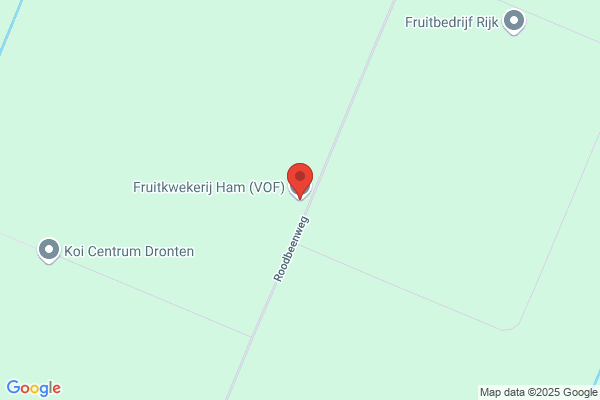 Firma A. En H. Oerlemans
