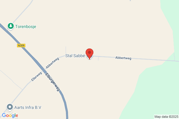 Amb-Stal