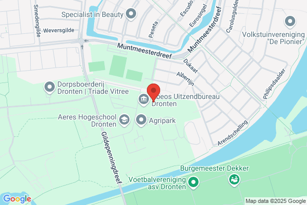 Groene De Vlieg