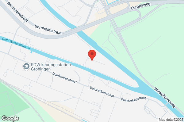 Buddy Hondenschool