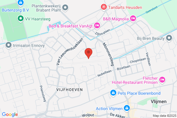 Vos Cv