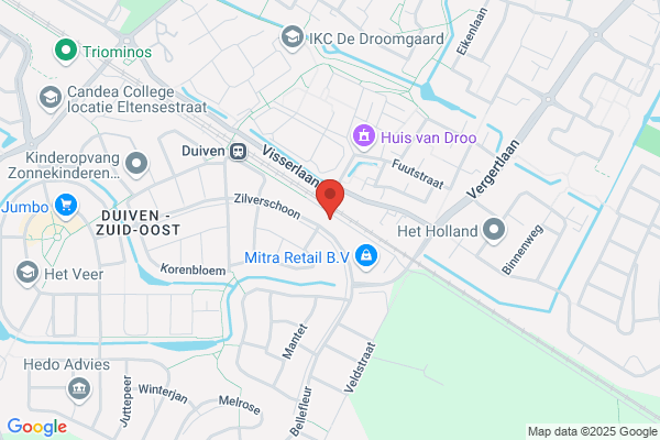 Registeraccountants Reijmer Wibbens