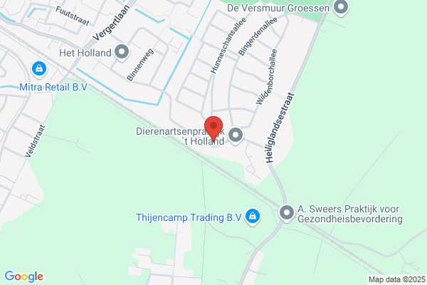 D'oorsprong