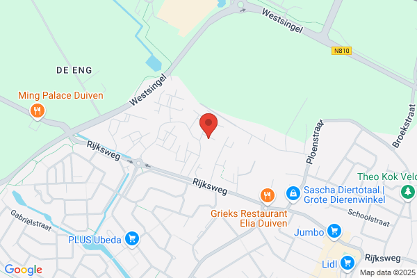 Van Der Meer Associates