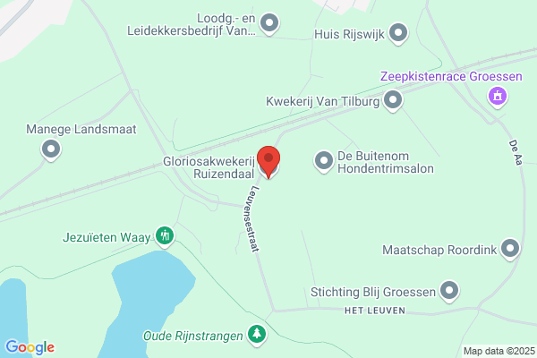 Gloriosakwekerij Ruizendaal