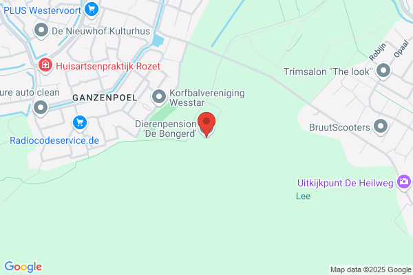 Dierenpension-Trimsalon De Bongerd