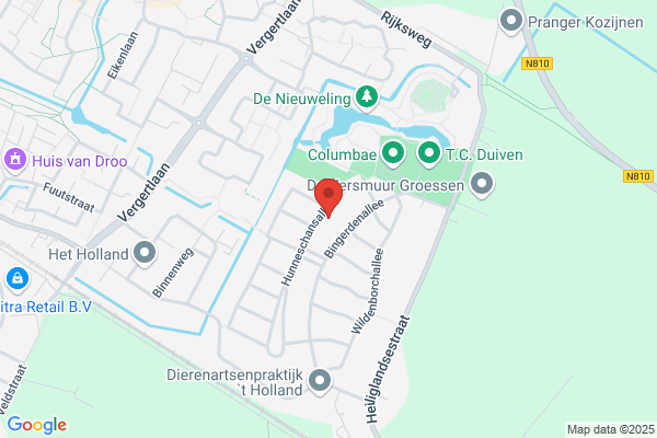 Niche, Adviseurs Voor Informatie En Strategie