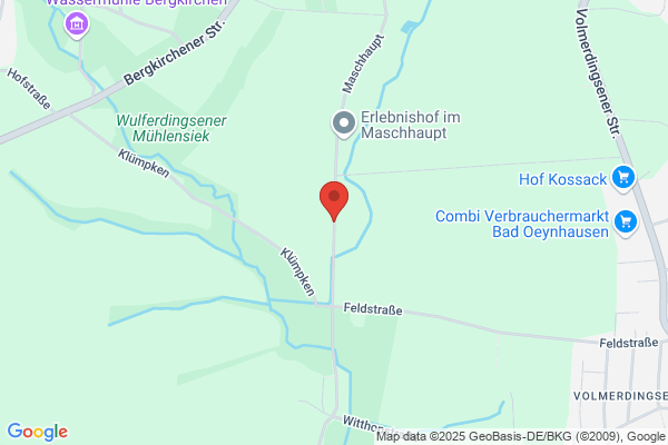 Maschhaupt, W M