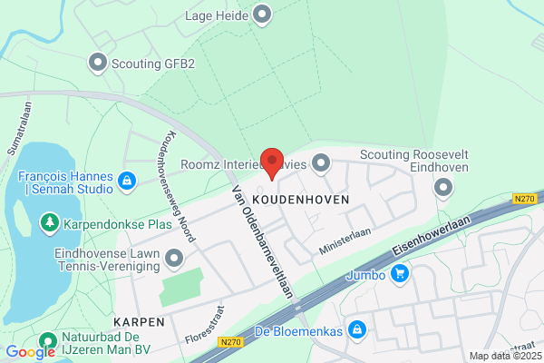 Leeuw Bv, De