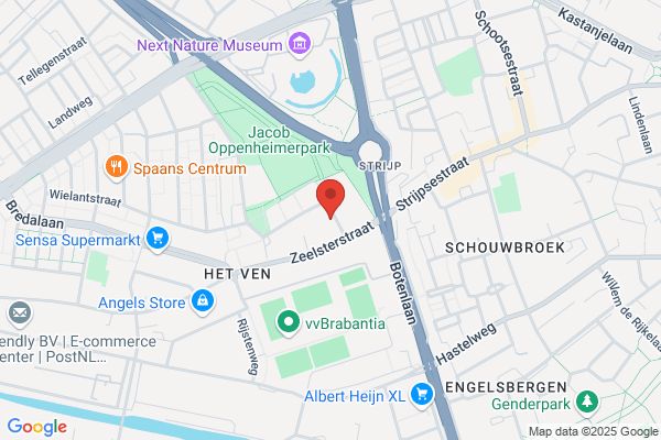 De Jong Cv