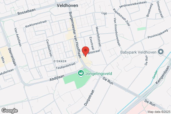 Limpt Autobedrijf Bv, Van