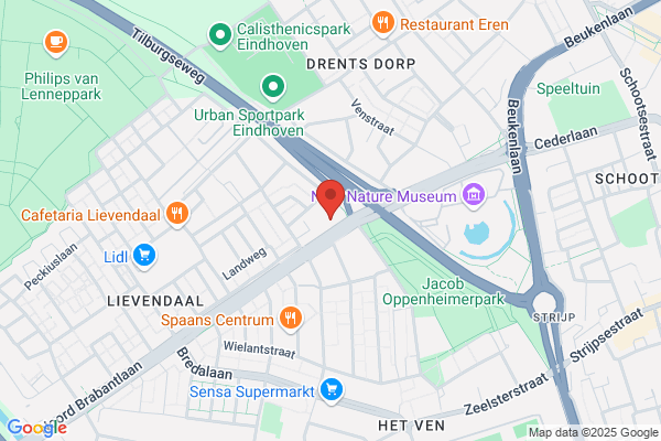 Starlet Specialist, De