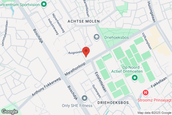 Janssen, Drs P J