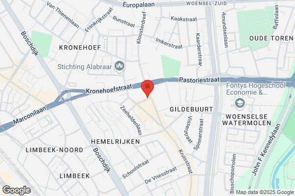 Ijsvogel, De