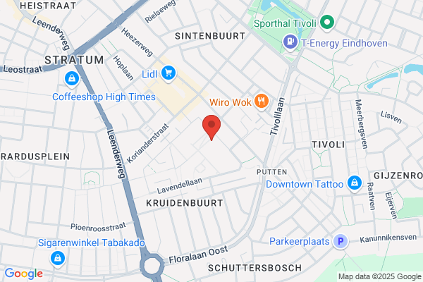 Wildrik, Studio