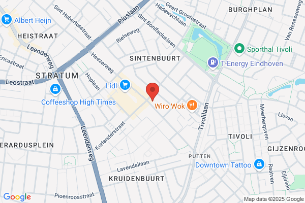 Kameel, De
