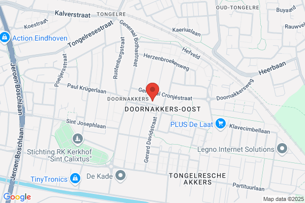 Ruijs
