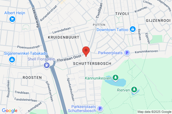 Lichtstad, De