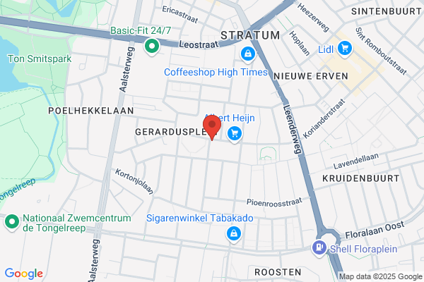 Zuidwester, De