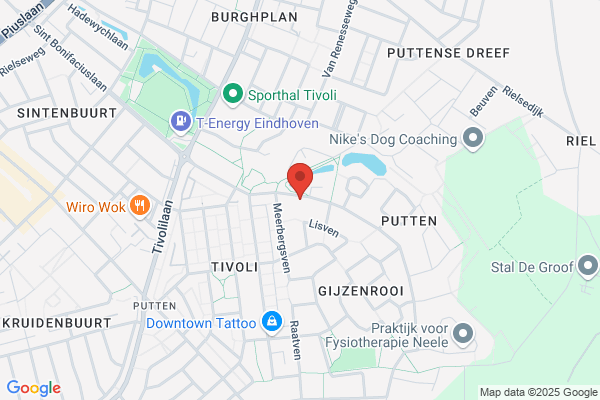 Van Velzen Vertalingen