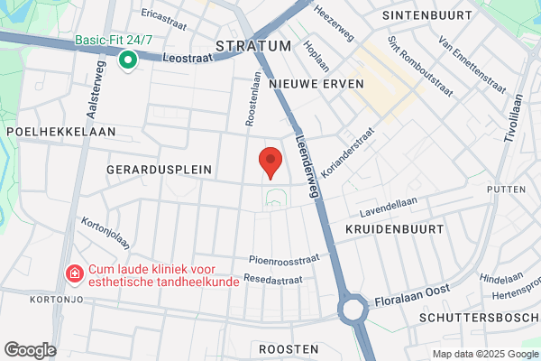 Ruijsenaars Vertalingen