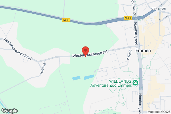 Steeg, De