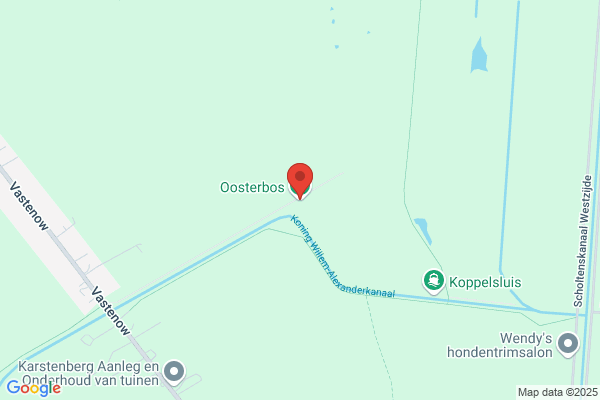 Bos