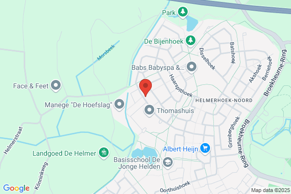 Financiele Managers, De