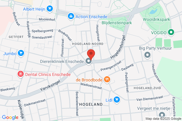 Benzine De Jong Bv