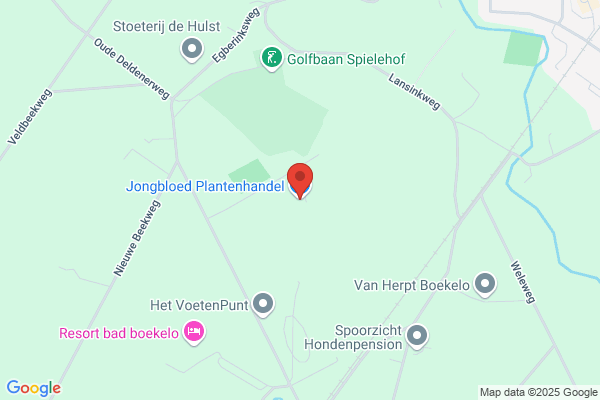 Jongebloed, E