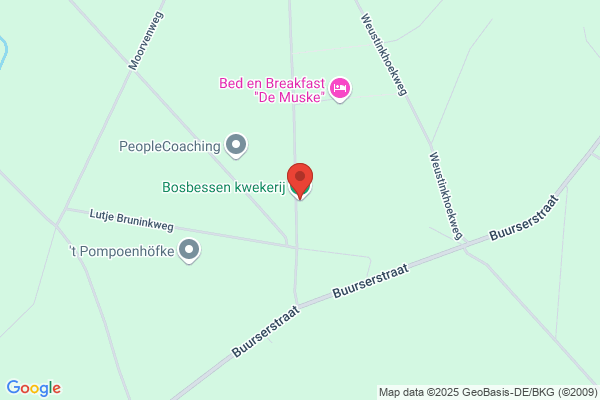 Berkenbosch, Bea
