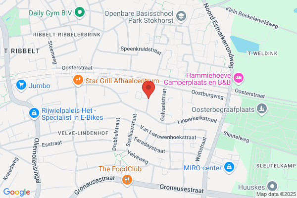 Dobbelsteen, De