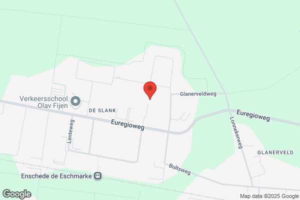 Leeuw, De