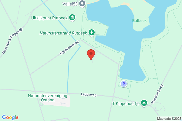 Engberink, Gerhard