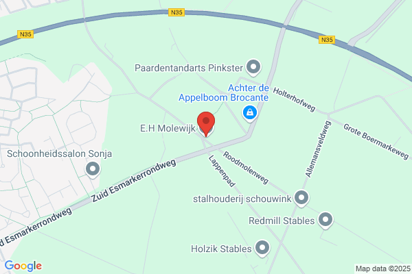 Molewijk, E H