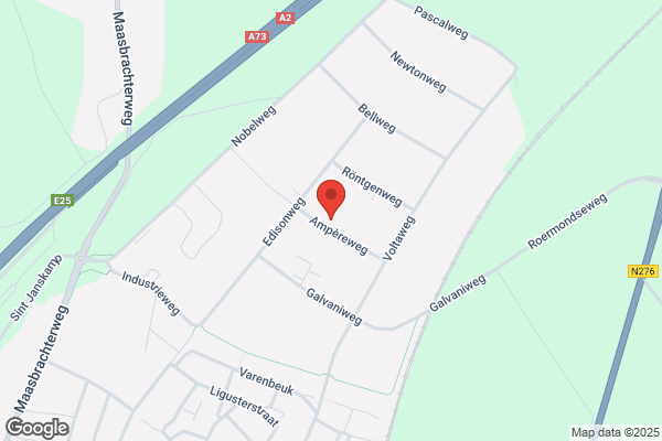 Pustjens Bv, Theo