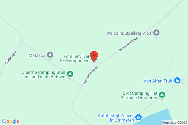 Kamphoeve Forellen Visserij De