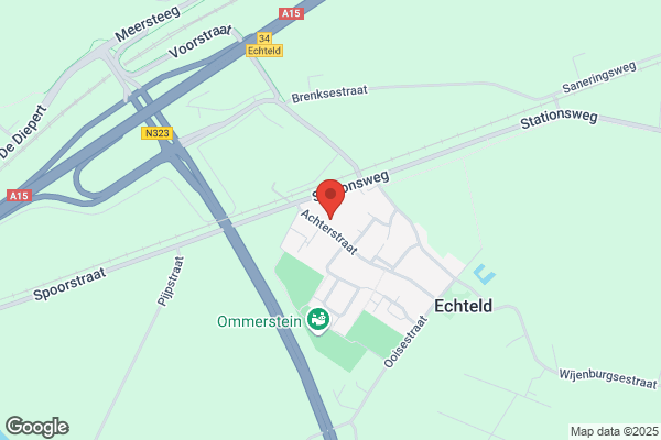 Tree Consult International