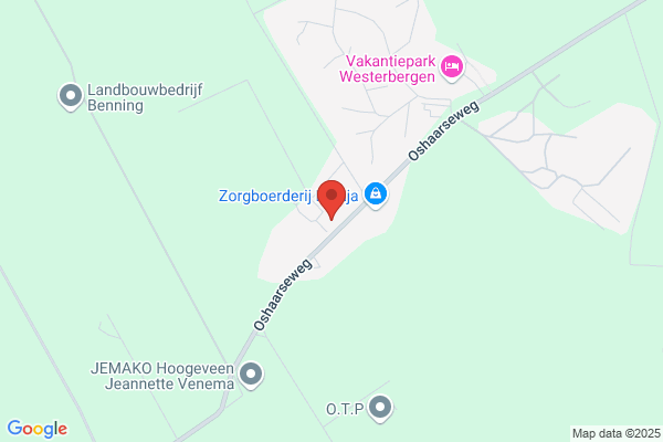 Wim Nijstad Autoruit Reparatie Bedrijf